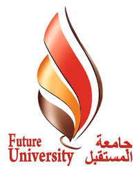 دولة السودان: روابط جامعة المستقبل