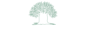 دولة جنوب افريقيا: روابط International Academy of Reflexology and Meridian Therapy